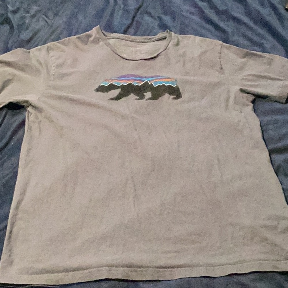 Patagonia Fitz Roy bear tee